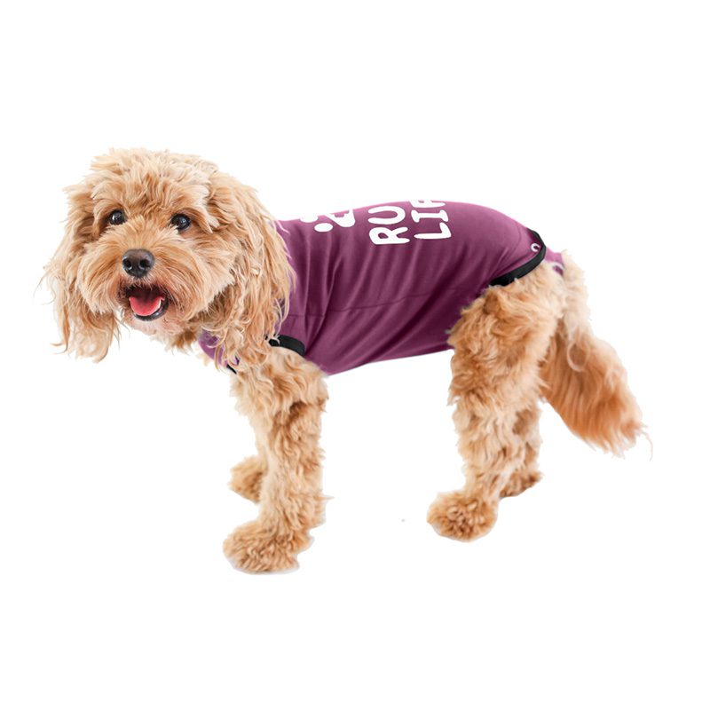 BellyGuard is the Wholesale Recovery Onesie for Your Veterinary Clinic