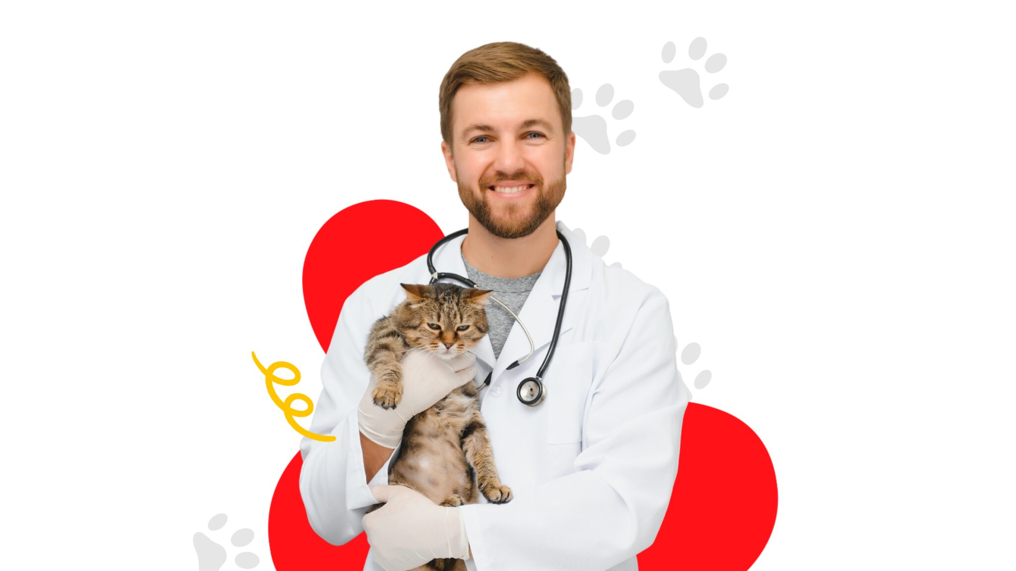 Top Veterinary Conferences & CE Events in 2026